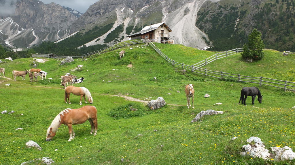 Santa Cristina Val Gardena Garni Le Chalet מראה חיצוני תמונה