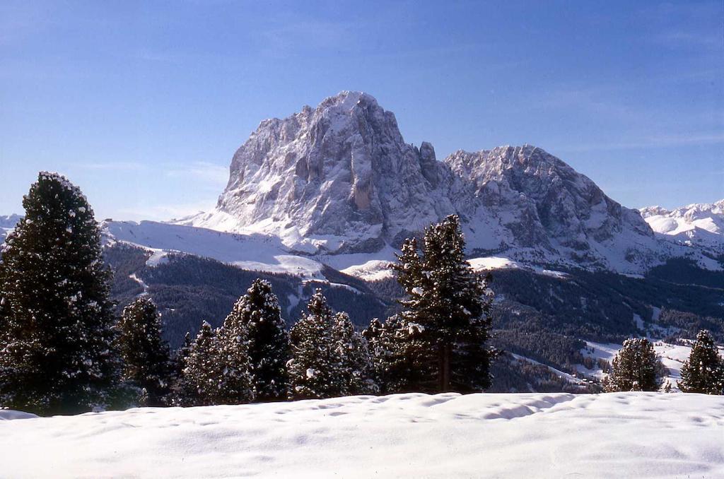 Santa Cristina Val Gardena Garni Le Chalet מראה חיצוני תמונה
