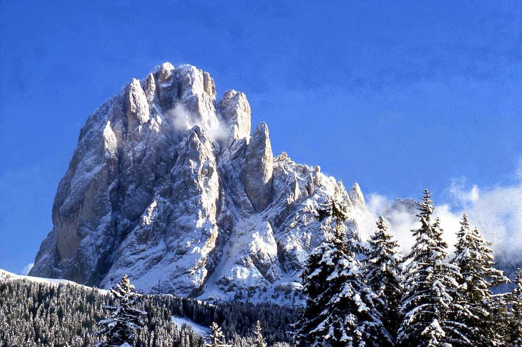 Santa Cristina Val Gardena Garni Le Chalet מראה חיצוני תמונה