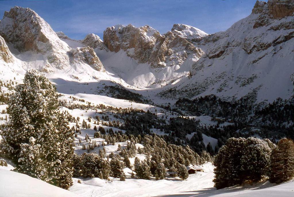 Santa Cristina Val Gardena Garni Le Chalet מראה חיצוני תמונה